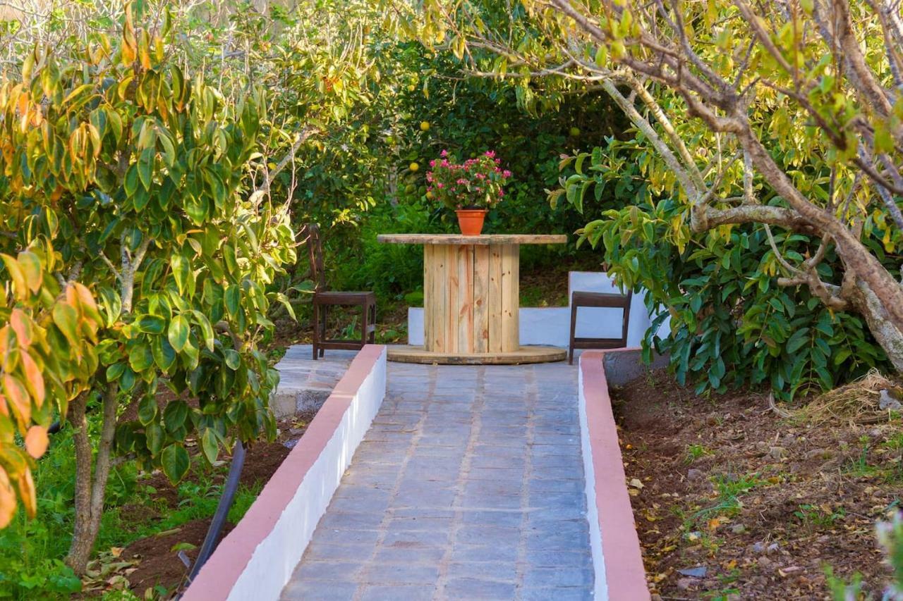 Casa Cueva Villa Aday Santa Maria de Guia de Gran Canaria Екстер'єр фото
