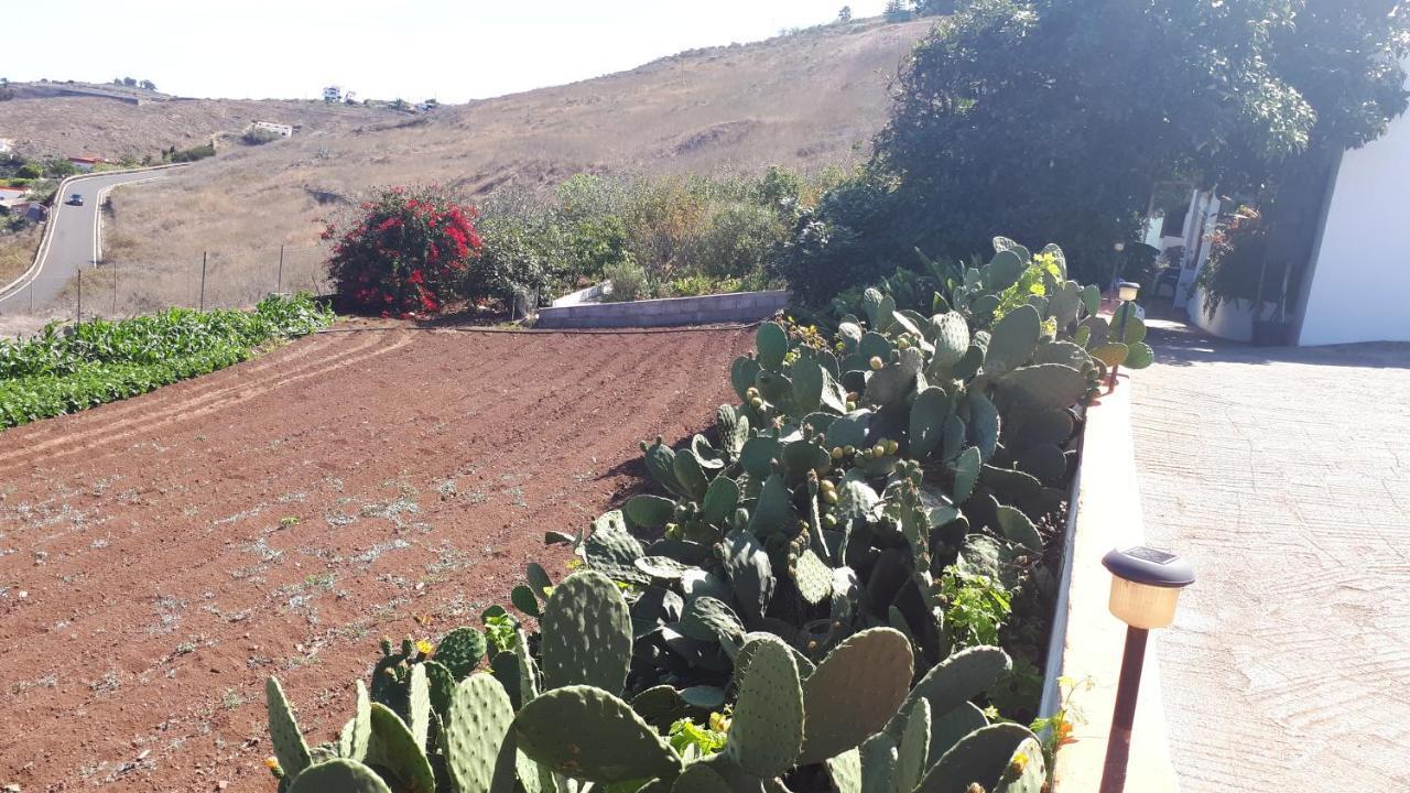 Casa Cueva Villa Aday Santa Maria de Guia de Gran Canaria Екстер'єр фото